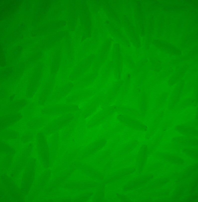 
                  
                    Glow plastic tube beads for kandi and jewelry making
                  
                
