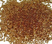Czech Glass Seed Beads 11/0 Topaz with Silver Lined Seed Beads
