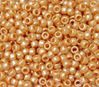 9x6mm Gold Pearl Pony Beads 500pc