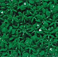 Green 18mm Starflake Sunburst Craft Beads